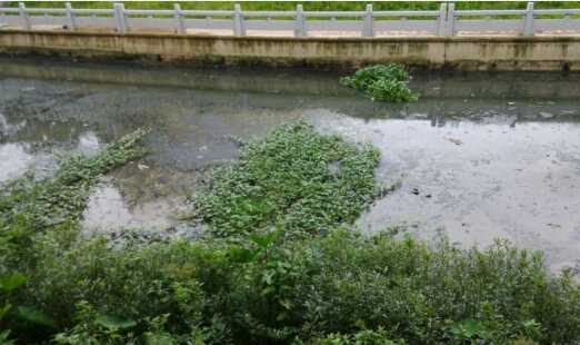 [廣東]河道清淤8寸立式泥漿泵，砂泵廠家直供